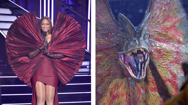 Tyra Banks brani svoju haljinu, a fanovi zgroženi: 'Izgledaš baš kao dinosaur iz Jurskog parka!'