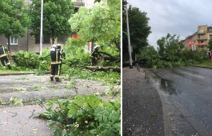 Vatrogasci rade od ranog jutra: Vjetar srušio stablo na cestu...