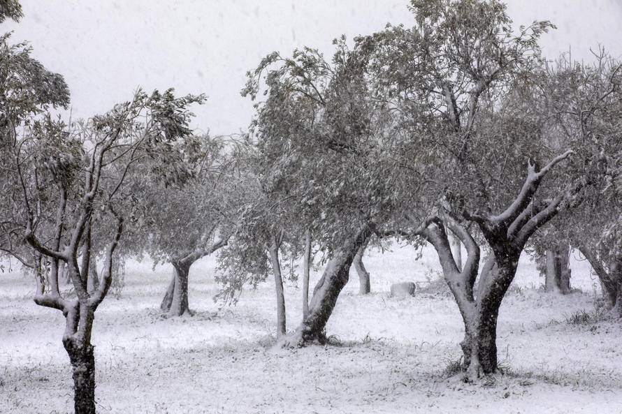 Snijeg zabijelio Pulu i Vodnjan