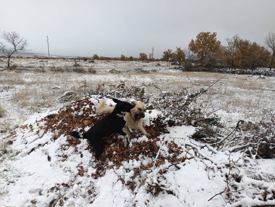 Općinska komunalka sama 'izlopatala' snijeg sa staze: 'Nema nikakve drame u tome'
