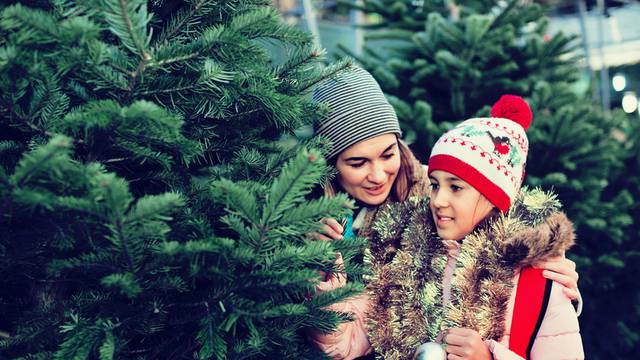 Woman with daughter buying Christmas tree in market