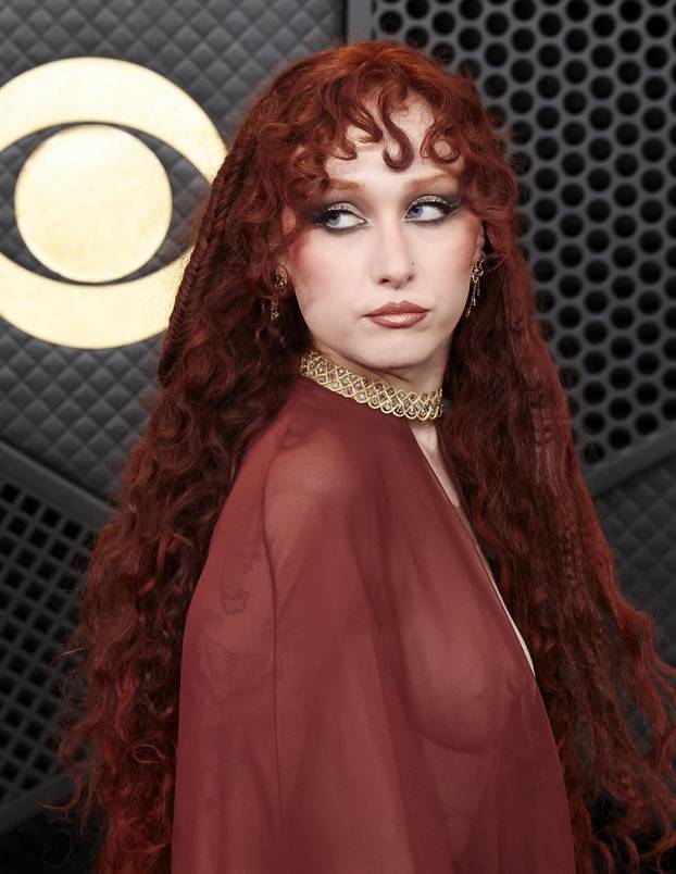 68th Annual Grammy Awards in Los Angeles