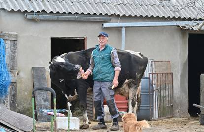 'Nekoć bih susjeda zvao upomoć oko svinjokolje, mast se grabila i kobasice spravljale. A sada...'