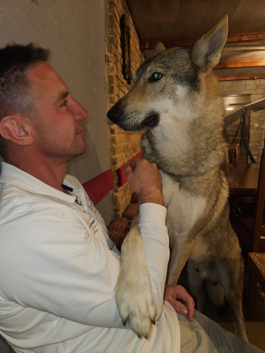 Očajni vlasnici: Naš Aki nestao je kod Rijeke. Nudimo 10.000 €