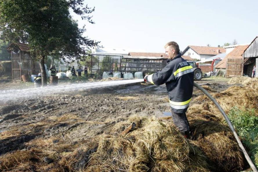 Vjeran Žganec-Rogulja/Pixsell