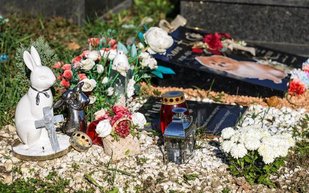 Zagreb: Groblje kućnih ljubimaca u Dumovcu obišao je jedino jedan mačak