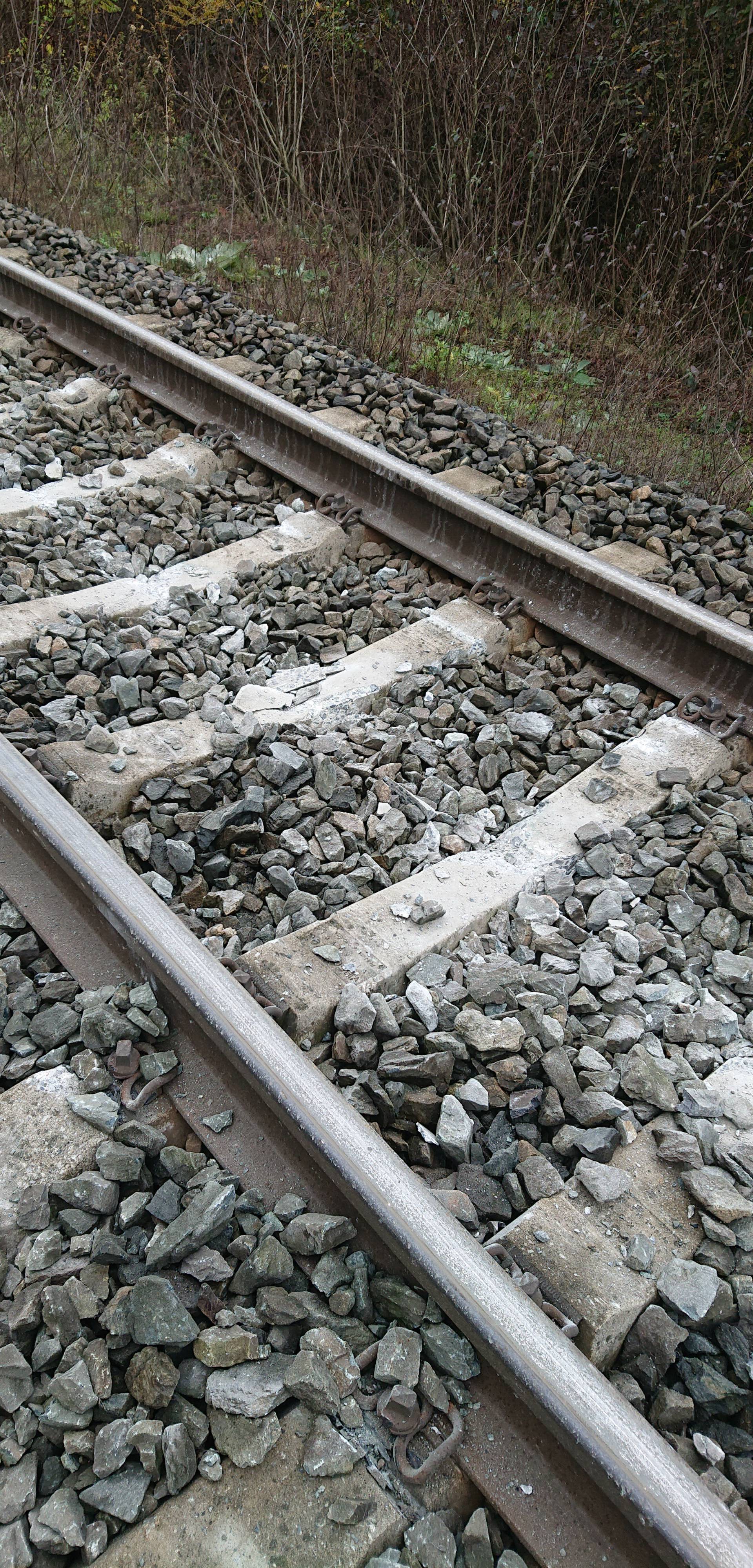 Nesreća blizu Vrbovca: Vlak sa 68 putnika iskočio iz tračnica