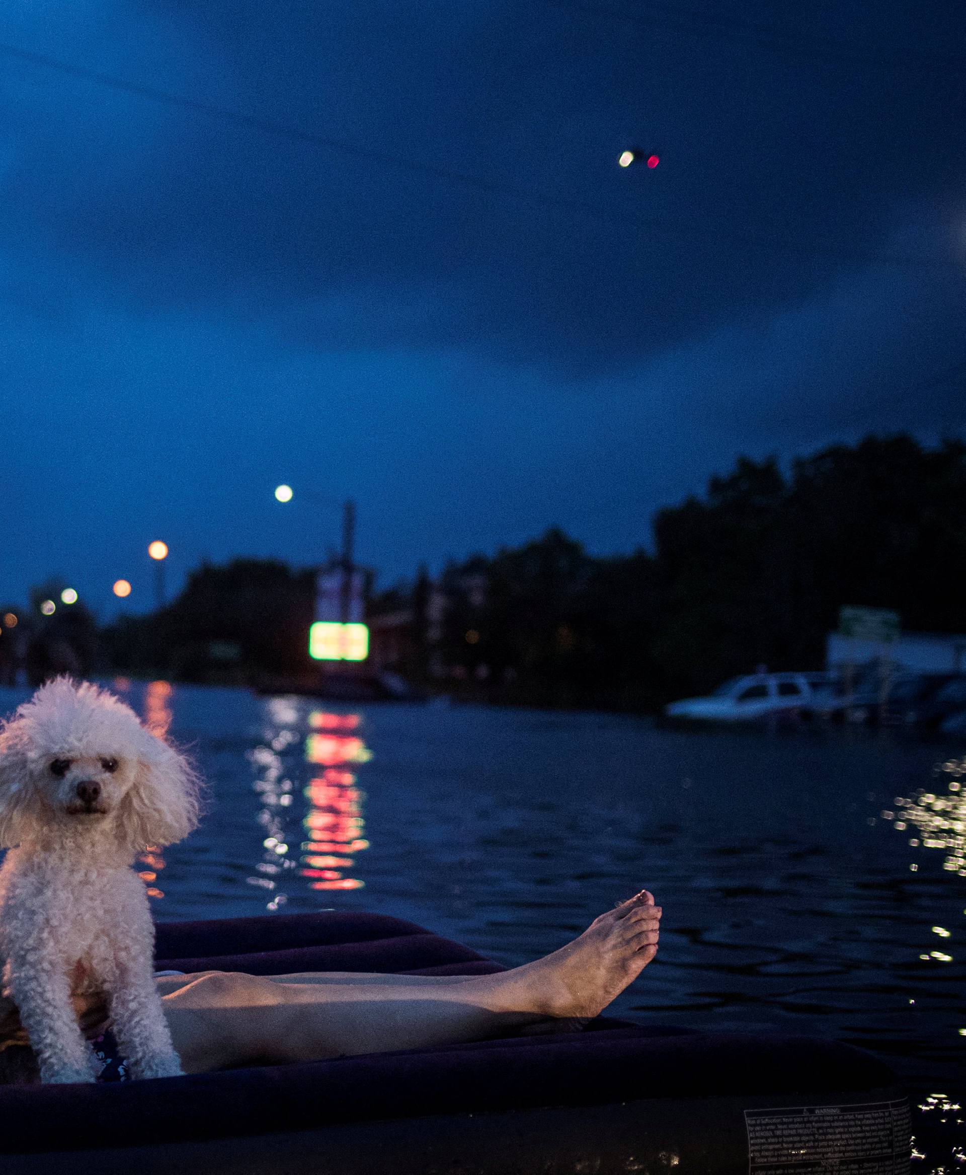 A rescue helicopter hovers in the background as an elderly woman and her poodle use an air mattress to float above flood waters from Tropical Storm Harvey while waiting to be rescued from Scarsdale Boulevard in Houston