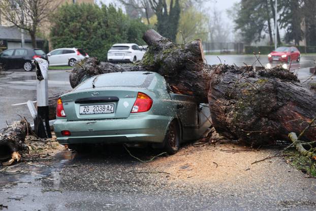 Zagreb: Nevrijeme srušilo stablo koje  je palo na automobil 