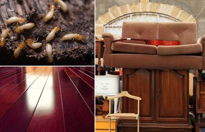 7 mjesta i stvari koje privlače termite u dom - provjerite ih