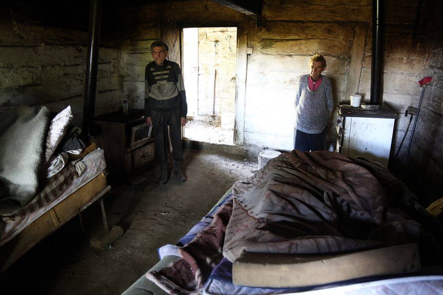 Dva brata žive u šumi kod Gline: 'Treba nam samo jedna žarulja'