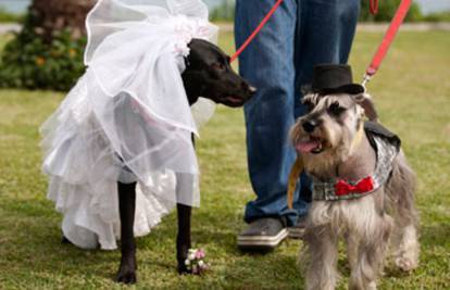 Psi na grupnom  vjenčanju  u Limi izrekli sudbonosno 'vau'