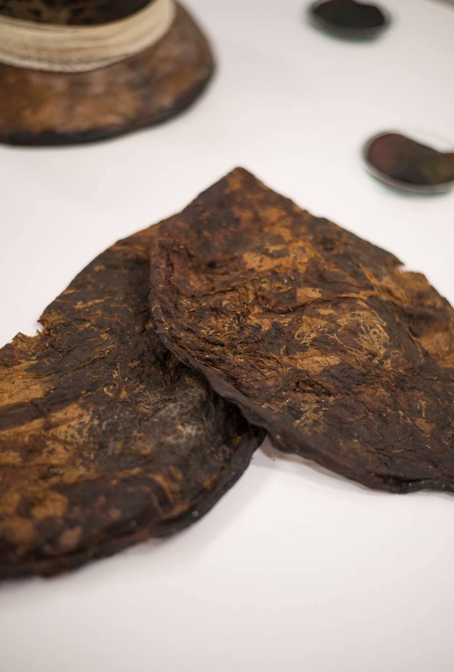 Maja je jedina biodizajnerica u regiji: 'Materijale za odjeću radim od algi, gljiva i bakterija'