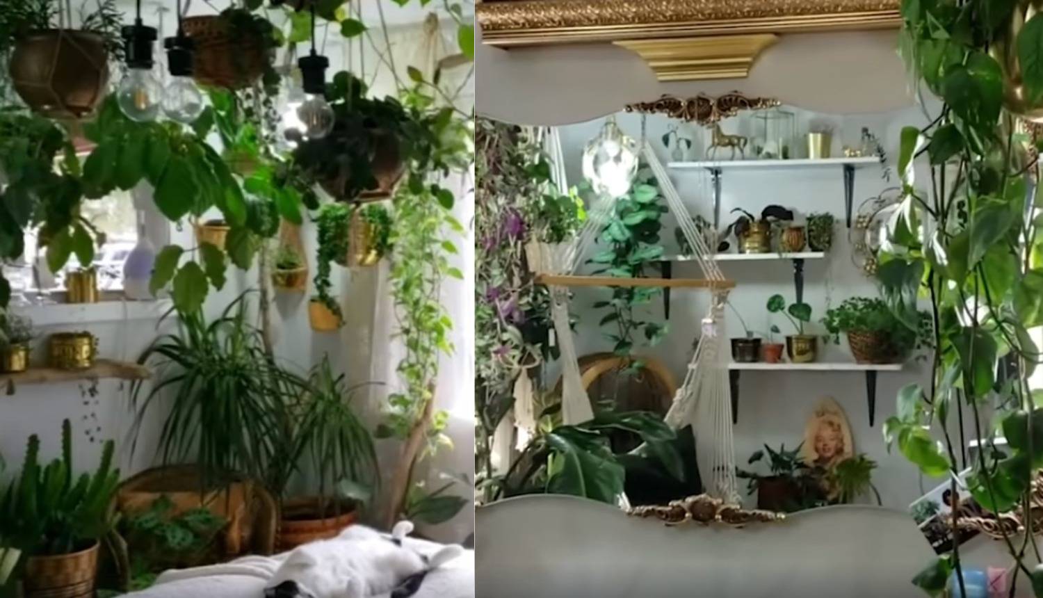 Mala džungla: Ovi ljudi zaista vole brinuti i živjeti s biljkama