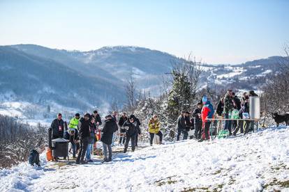 FOTO U Kašinskoj Sopnici održali ceremoniju kićenja trsa