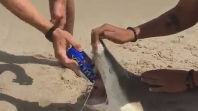 'Vi ste zlostavljači!': Zubima morskog psa otvorili limenku