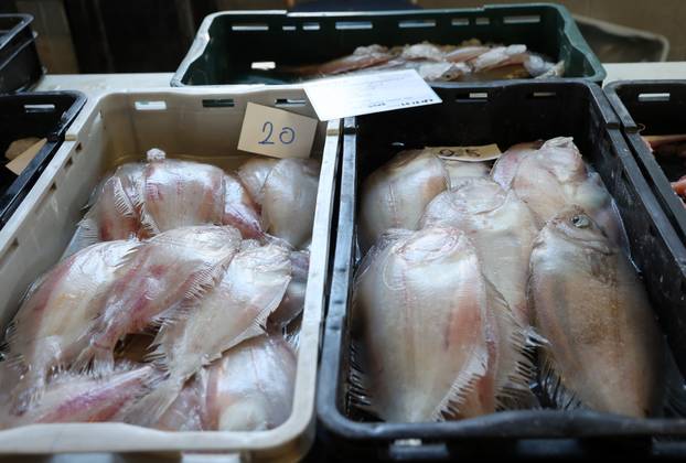 Šibenik: Ponuda ribe i ostalih morskih delicija