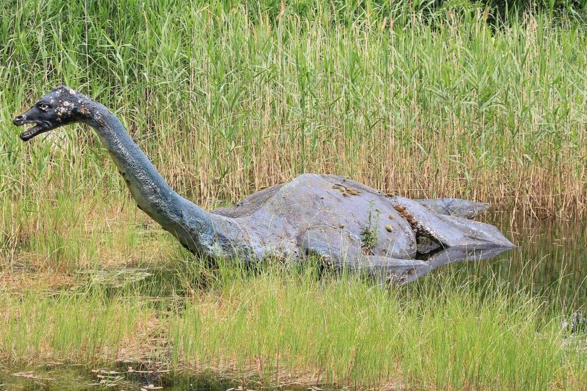 'Čudovište iz Loch Nessa' je zapravo bilo divovska jegulja