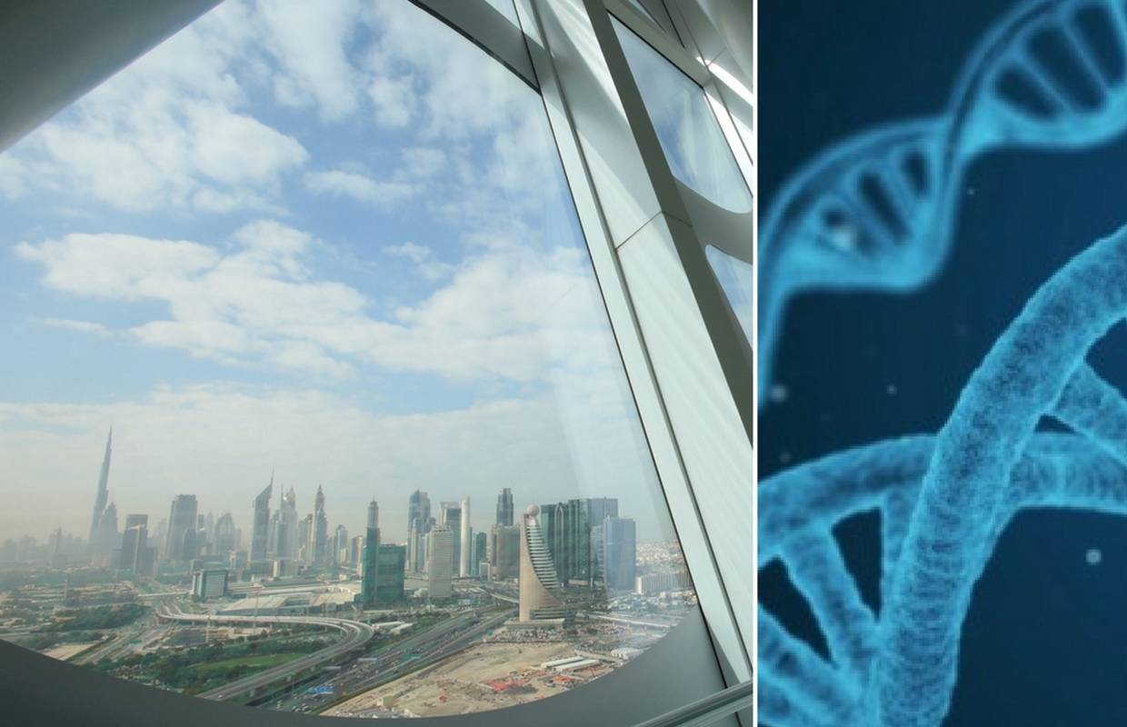 Incestuozni brakovi: U Dubaiju će genetski mapirati građane