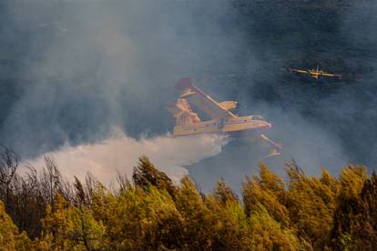 FOTO Kaotične scene iz Istre: U velikoj buktinji izgorjelo 50-ak hektara šume, širi se crni dim