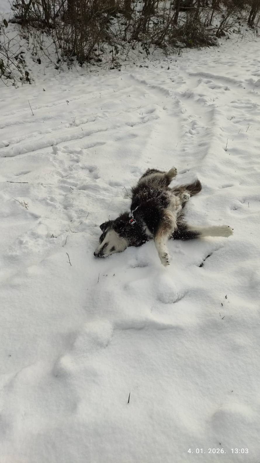 Općinska komunalka sama 'izlopatala' snijeg sa staze: 'Nema nikakve drame u tome'