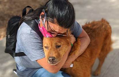 Opet su zajedno: Sedam godina tražila je svog izgubljenog psa