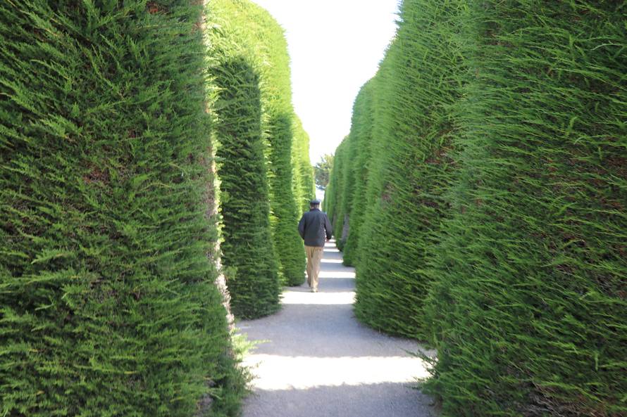 Vjetar nemilice dere, psi šeću i centrom, a napojnicu traže svi