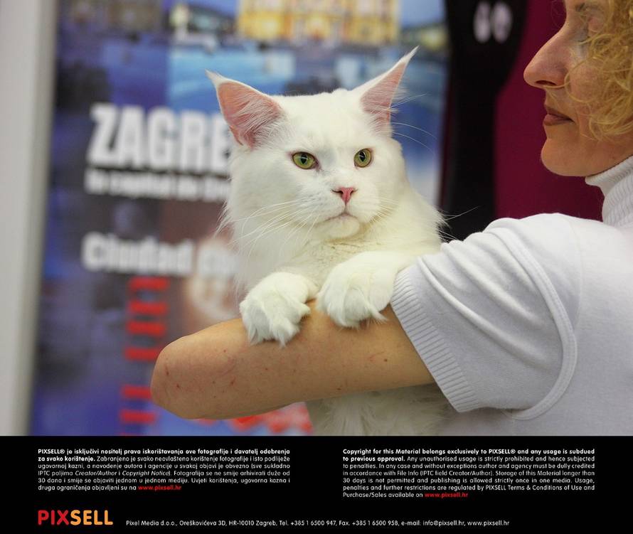 Marijan Susenj/PIXSELL 