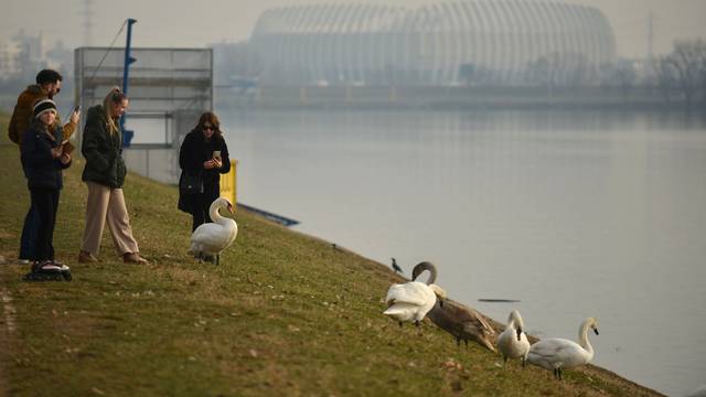 Zagreb: Zimski dan na Jarunu