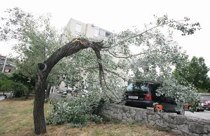 Split: Jaka oluja čupala je stabla i uništila 15 auta