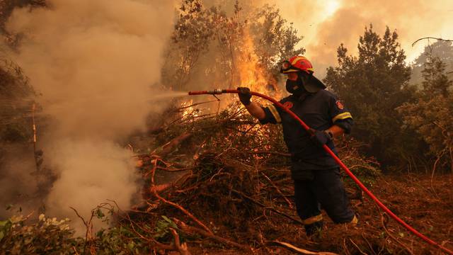 Wildfire on Evia island