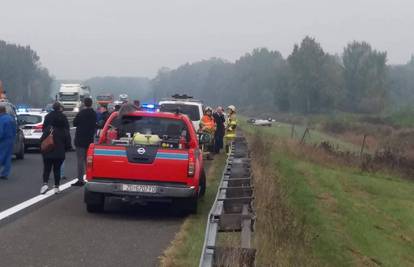 Užas: Pretrčavao je autocestu, a na njega naletjeli automobili