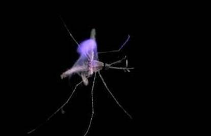 Amerikanac napravio laser koji traži i  ubija komarce
