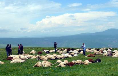 Pastir bespomoćan: Grom na istoku Turske ubio 145 ovaca