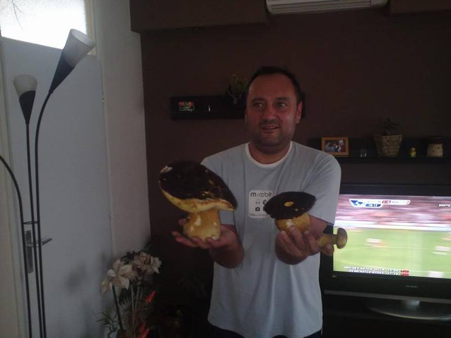 Tomislav
