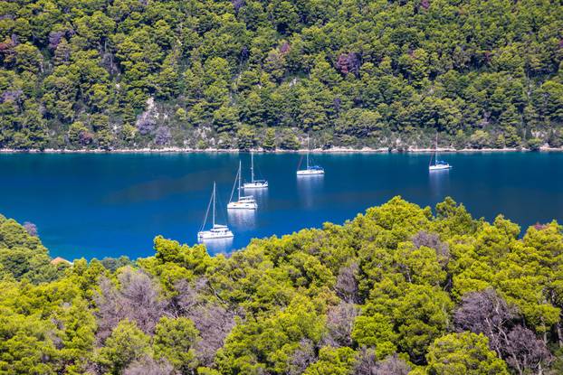 Great Lake - Mljet, Dalmatia, Croatia