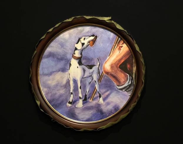 Šibenik:Otvoren muzej dalmatinskom psu,dalmatincu 