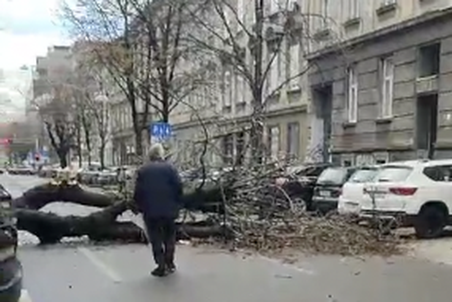 Srušeno drvo u Zagrebu