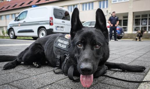 FOTO Oni su 'gazde' u Kaznionici u Lepoglavi: Upoznajte Gerryja, Jokera i neustra&scaron;ive &scaron;arplanince