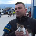 Maca koju je spasioc iz BiH udomio iz ruševina u Turskoj, sada je dobila BiH putovnicu