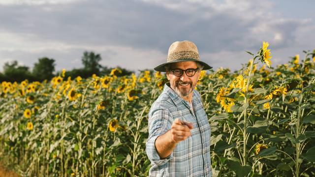 Senior,Man,With,Straw,Hat,In,Sunflower,Field