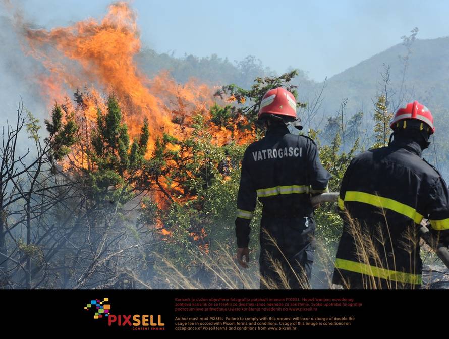 Hrvoje Jelavić/PIXSELL