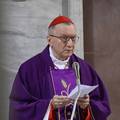 Parolin: Hrvati su duboko ukorijenjeni u iskustvo vjere