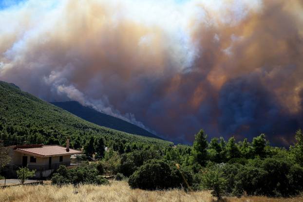 Wildfire in Krio Pigadi