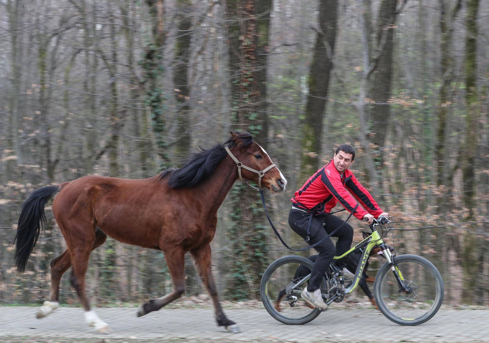 'Moj konj Kasper i ja jurimo šumama čak do 60 km na sat'