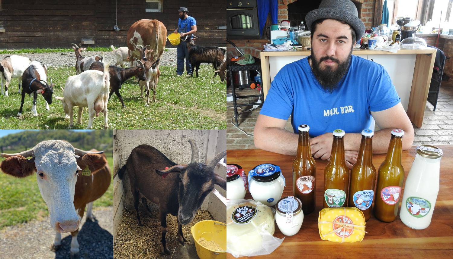 Čarobna farma: Životinjama se pušta glazba i imaju svoj 'stan'