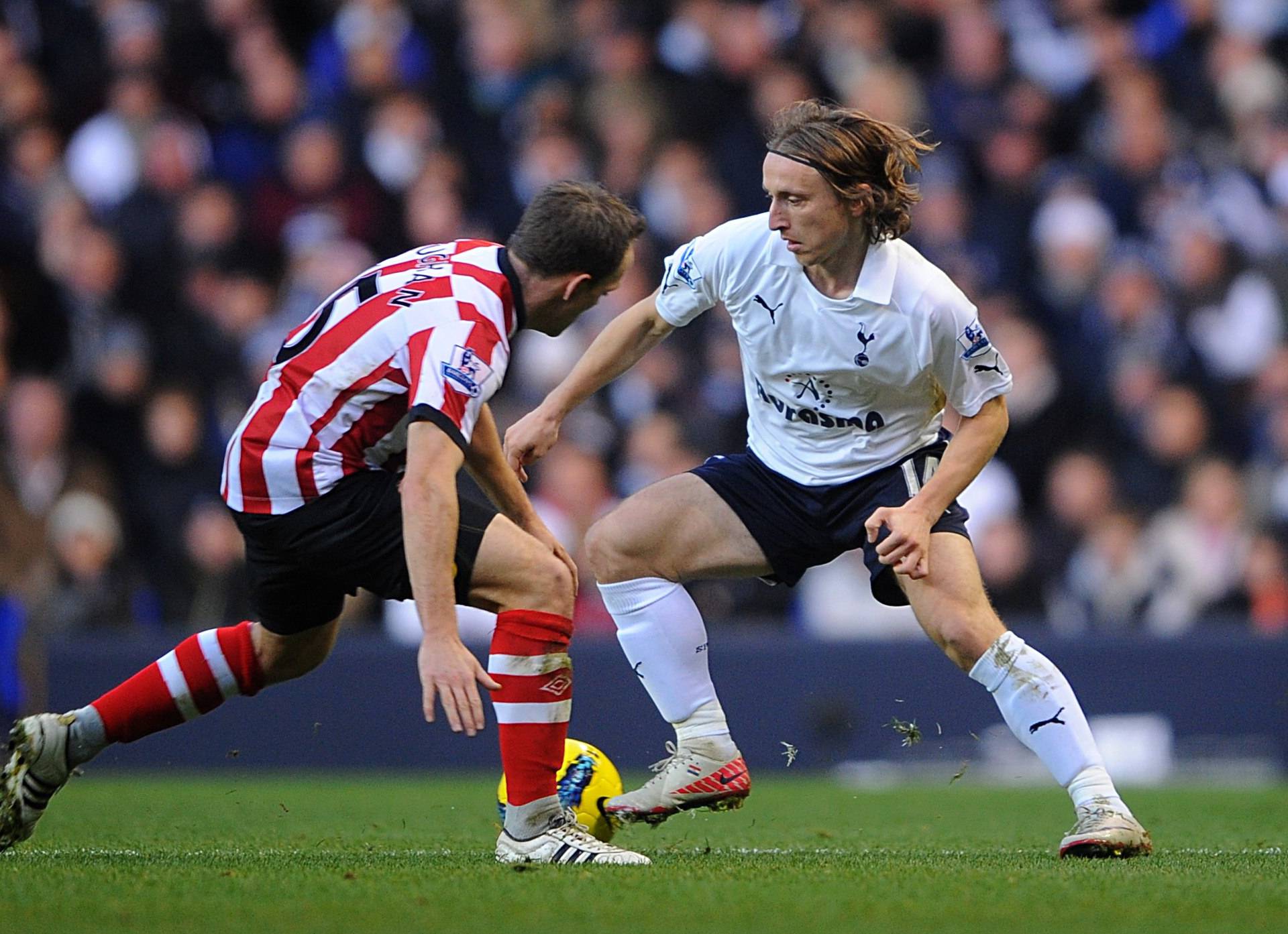 Soccer - Barclays Premier League - Tottenham Hotspur v Sunderland - White Hart Lane