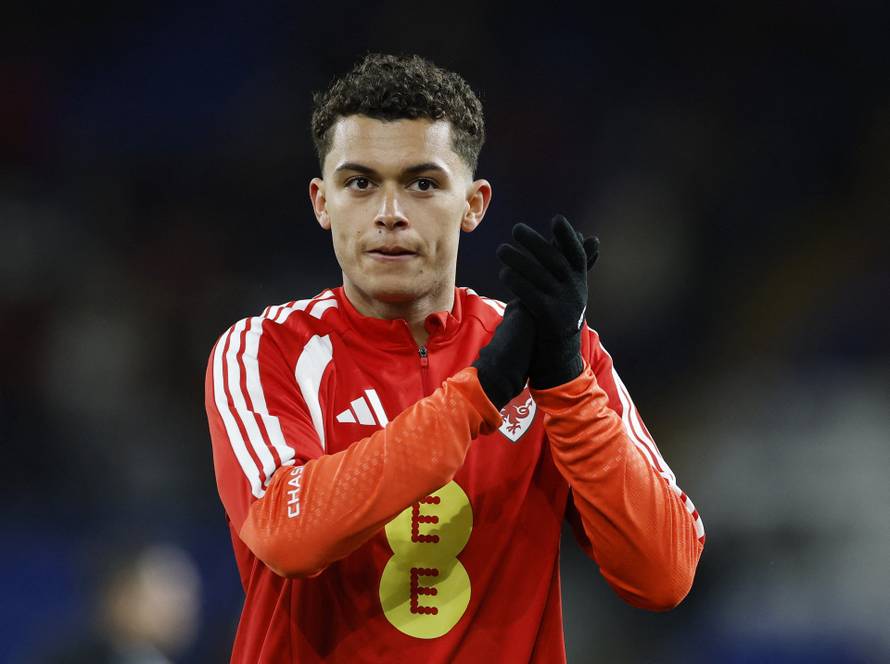 FIFA World Cup - UEFA Qualifiers - Semi Final - Wales v Bosnia and Herzegovina