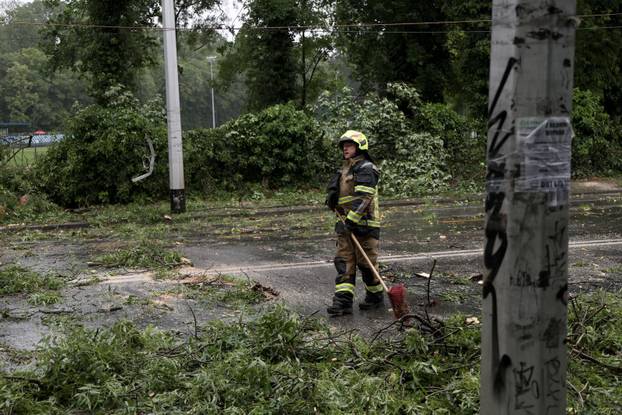 Zagreb: Palo stablo na Maksimirskoj, blokiran promet, vatrogasci na terenu