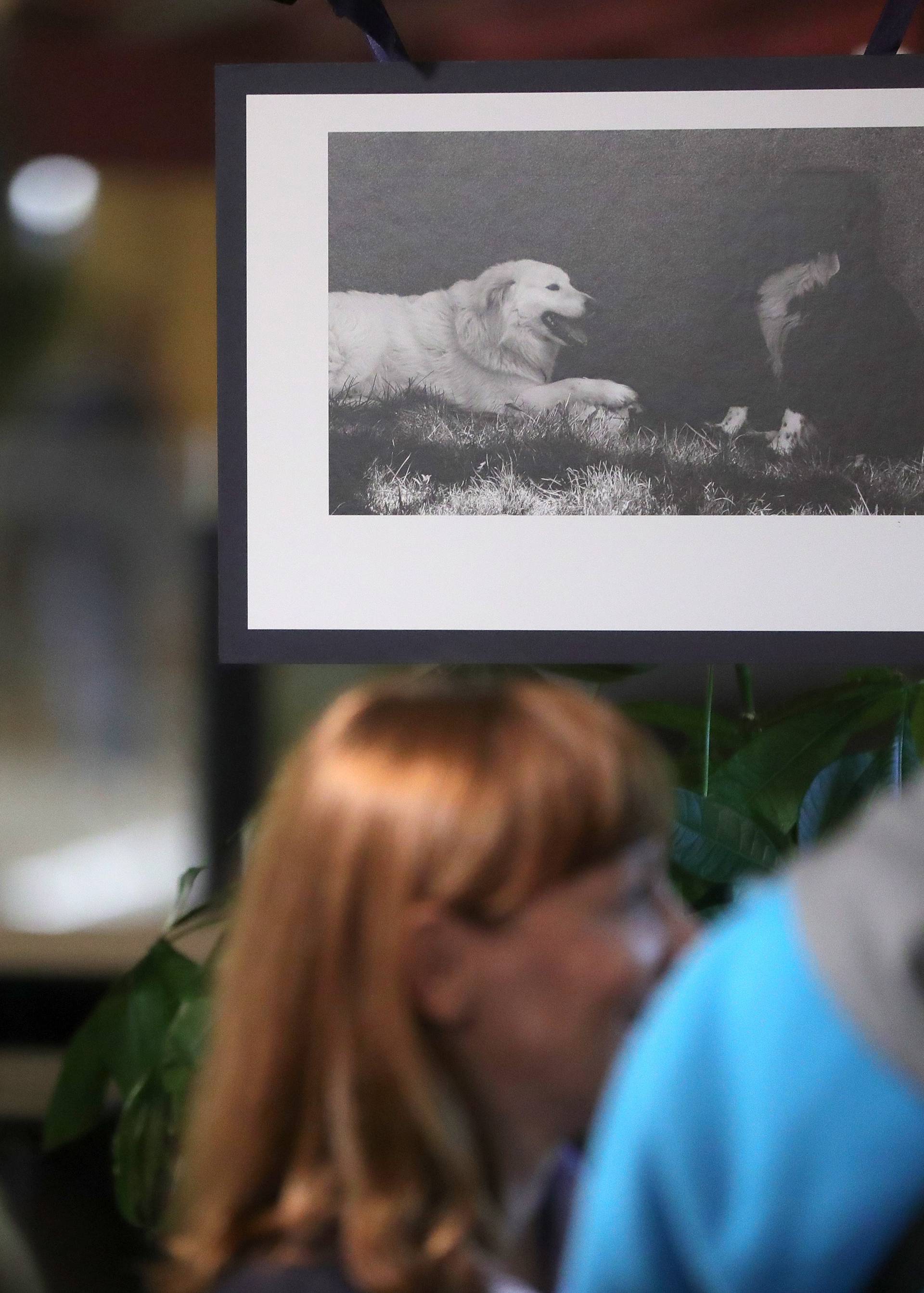 Zagreb: Otvorena izloÅ¾ba fotografija "Susjedi"